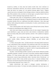 Gabių vaikų asmenybės vystymosi problemos 5 puslapis