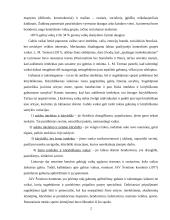 Gabus vaikas 2 puslapis