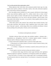 Gabus vaikas 7 puslapis