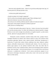 Gamybos valdymo informacinės sistemos 2 puslapis