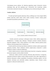 Gamybos valdymo informacinės sistemos 4 puslapis