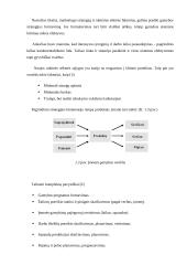 Gamybos valdymo informacinės sistemos 5 puslapis