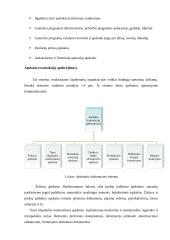 Gamybos valdymo informacinės sistemos 6 puslapis