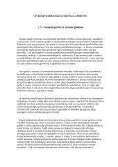 Garbės ir orumo gynimas 14 puslapis