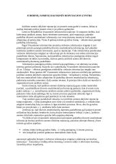 Garbės ir orumo gynimas 10 puslapis