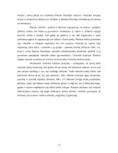 Graikų filosofai: Sokratas ir Platonas 13 puslapis