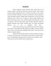 Graikų filosofai: Sokratas ir Platonas 14 puslapis