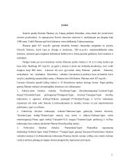 Grožis ir vertybės filosofo Platono akimis 3 puslapis