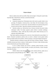 Grožis ir vertybės filosofo Platono akimis 4 puslapis