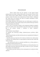 Grožis ir vertybės filosofo Platono akimis 5 puslapis