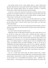 Grožis ir vertybės filosofo Platono akimis 8 puslapis