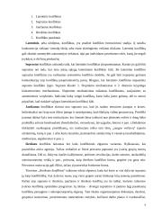 Grupės konfliktai. Konfliktų sprendimo būdai 4 puslapis