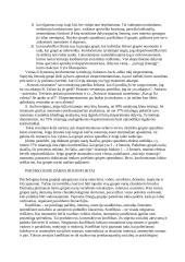 Grupių rūšys 7 puslapis