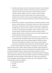 Hipotekos samprata 4 puslapis