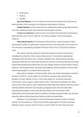 Hipotekos samprata 5 puslapis