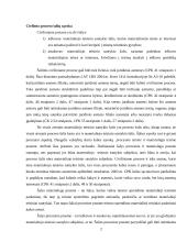 Ieškovo ir atsakovo procesinės teisės ir pareigos 2 puslapis