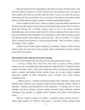 Ieškovo ir atsakovo procesinės teisės ir pareigos 4 puslapis