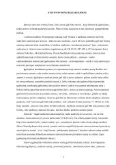 Įgaliojimų delegavimas, jo vieta ir reikšmė gamybos procese 2 puslapis