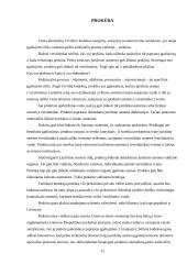 Įgaliojimų delegavimas, jo vieta ir reikšmė gamybos procese 12 puslapis