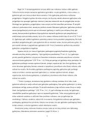 Įgaliojimų delegavimas, jo vieta ir reikšmė gamybos procese 5 puslapis