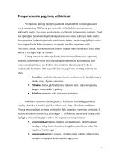 Įgimtos asmenybės užuomazgos ir temperamentas 4 puslapis