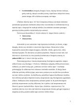 Įgimtos asmenybės užuomazgos ir temperamentas 5 puslapis