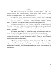 Ikimokyklinukų ir priešmokyklinukų kalbos ugdymo ypatumai, problemos ir jų sprendimo būdai 3 puslapis