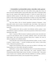 Ikimokyklinukų ir priešmokyklinukų kalbos ugdymo ypatumai, problemos ir jų sprendimo būdai 4 puslapis