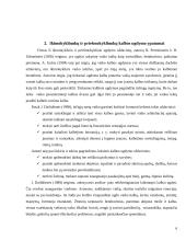 Ikimokyklinukų ir priešmokyklinukų kalbos ugdymo ypatumai, problemos ir jų sprendimo būdai 6 puslapis