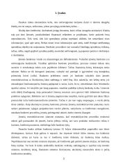 Įmonės bankroto ir restruktūrizavimo įstatymų santykis 2 puslapis