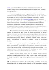 Informacijos paieška internete, interneto samprata, struktūra 5 puslapis