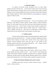 Informacijos paieška - programa Internet Explorer 6 puslapis
