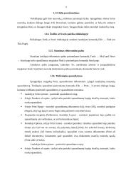 Informacijos paieška - programa Internet Explorer 8 puslapis