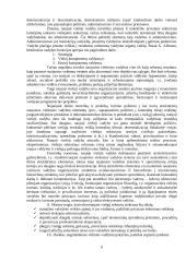 Informacinė visuomenė ir naujoji viešoji vadyba 8 puslapis