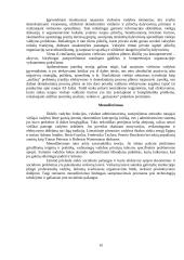 Informacinė visuomenė ir naujoji viešoji vadyba 10 puslapis