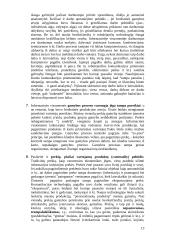 Informacinės visuomenės samprata Lietuvoje 13 puslapis