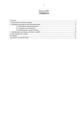 Inkrementinis sprendimų priėmimo modelis 2 puslapis