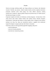 Integruotas ugdymas 9 puslapis