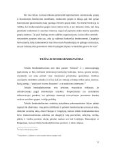 Interesų grupių veikla pasaulyje bei Lietuvoje 11 puslapis