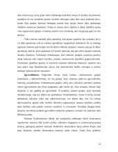 Interesų grupių veikla pasaulyje bei Lietuvoje 14 puslapis