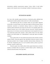 Interesų grupių veikla pasaulyje bei Lietuvoje 15 puslapis