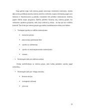 Interesų grupių veikla pasaulyje bei Lietuvoje 18 puslapis