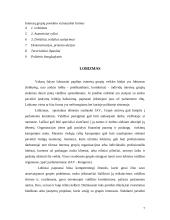 Interesų grupių veikla pasaulyje bei Lietuvoje 7 puslapis