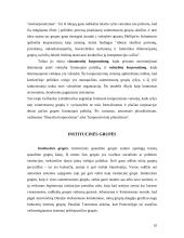 Interesų grupių veikla pasaulyje bei Lietuvoje 10 puslapis