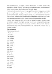 Internetas ir mobilieji telefonai 13 puslapis