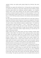 Internetas ir mobilieji telefonai 7 puslapis