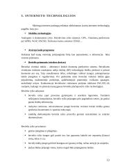Internetas: istorija, paslaugos ir technologijos 12 puslapis
