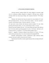 Internetinių adresų registravimas 3 puslapis