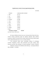 Internetinių adresų registravimas 4 puslapis
