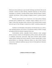 Internetinių adresų registravimas 7 puslapis